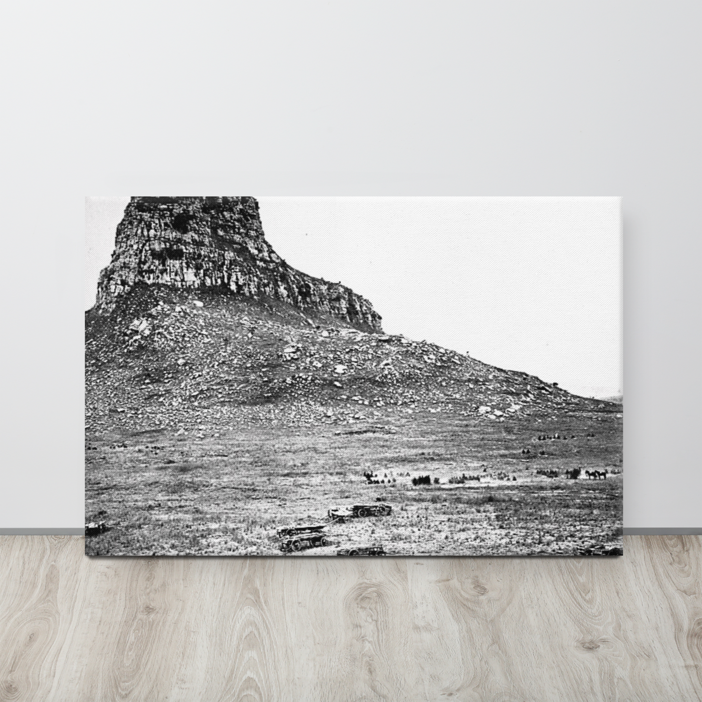 Battlefield at Isandlwana - 1879 (Canvas)